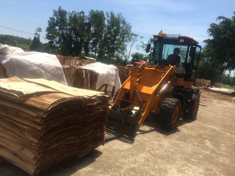 Xúc lật đa năng Rongwei ZL926LP